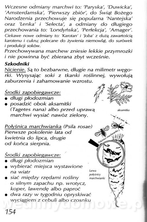 Podręcznik naturalnego ogrodnictwa_154.jpg