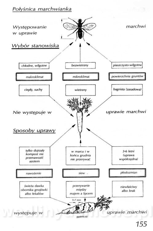 Podręcznik naturalnego ogrodnictwa_155.jpg