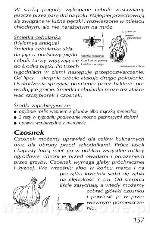 Podręcznik naturalnego ogrodnictwa_157.jpg