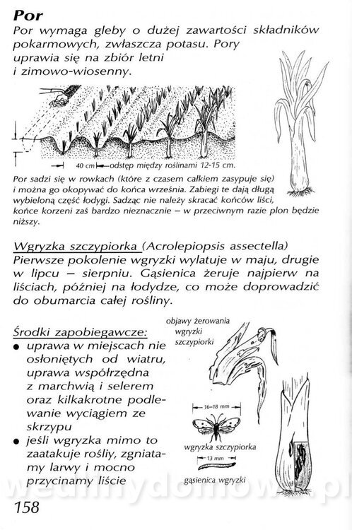 Podręcznik naturalnego ogrodnictwa_158.jpg