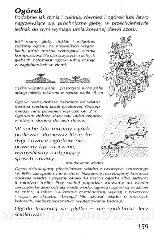 Podręcznik naturalnego ogrodnictwa_159.jpg