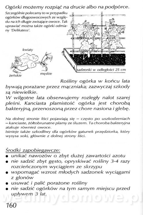 Podręcznik naturalnego ogrodnictwa_160.jpg