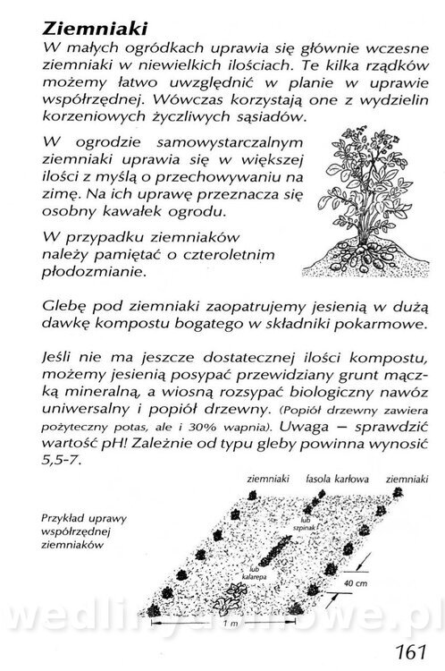 Podręcznik naturalnego ogrodnictwa_161.jpg