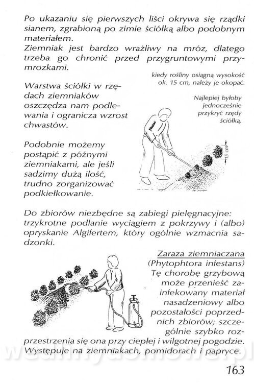 Podręcznik naturalnego ogrodnictwa_163.jpg
