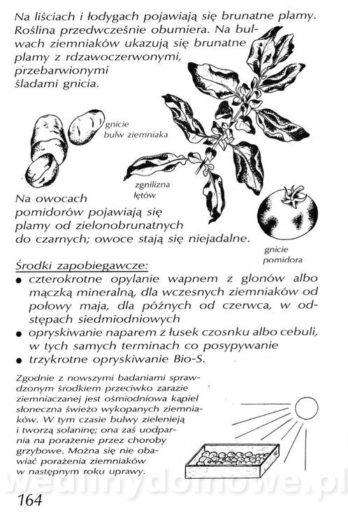 Podręcznik naturalnego ogrodnictwa_164.jpg