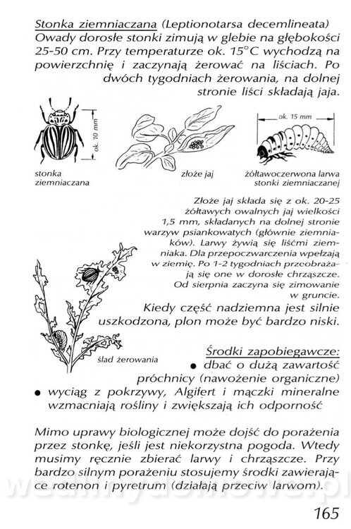 Podręcznik naturalnego ogrodnictwa_165.jpg
