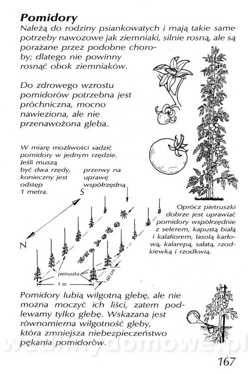 Podręcznik naturalnego ogrodnictwa_167.jpg