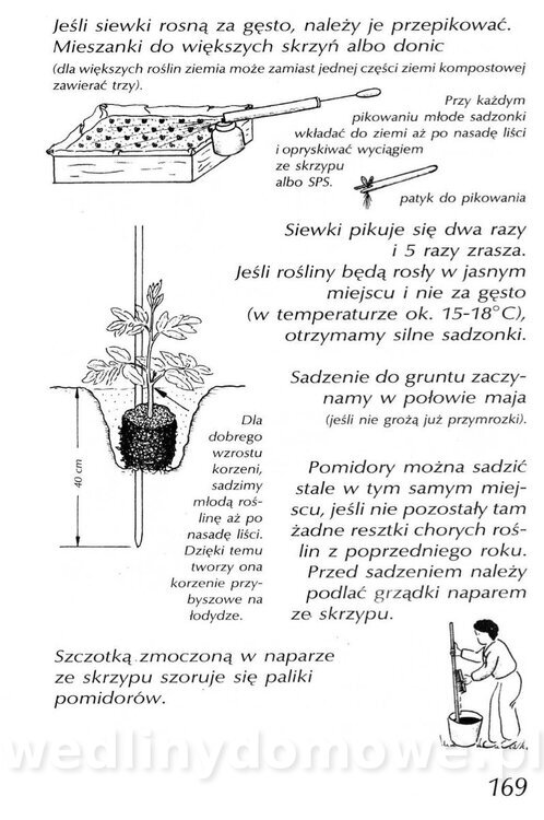 Podręcznik naturalnego ogrodnictwa_169.jpg