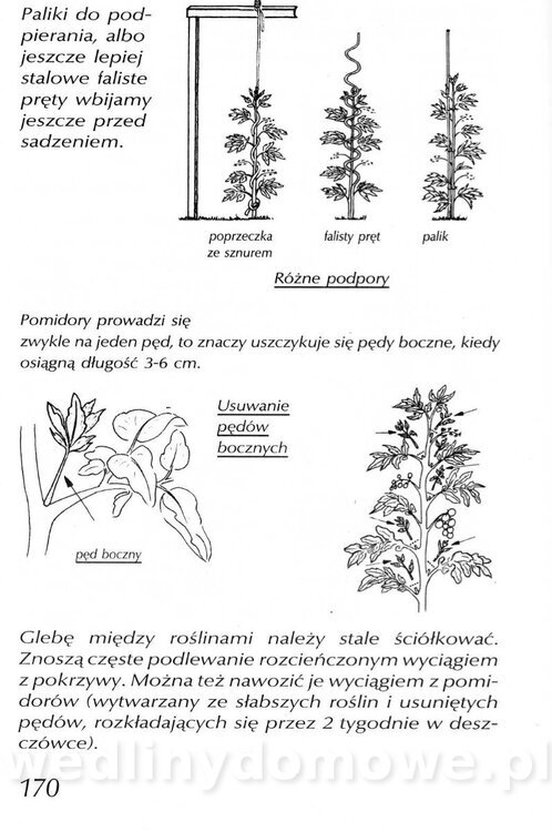 Podręcznik naturalnego ogrodnictwa_170.jpg