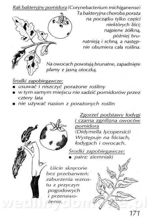 Podręcznik naturalnego ogrodnictwa_171.jpg
