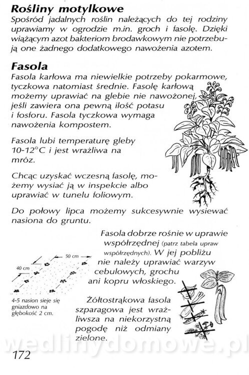 Podręcznik naturalnego ogrodnictwa_172.jpg