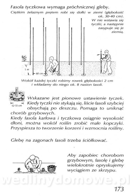 Podręcznik naturalnego ogrodnictwa_173.jpg