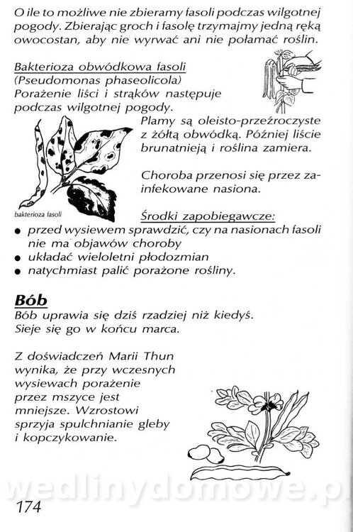 Podręcznik naturalnego ogrodnictwa_174.jpg