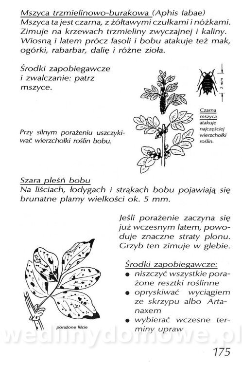 Podręcznik naturalnego ogrodnictwa_175.jpg