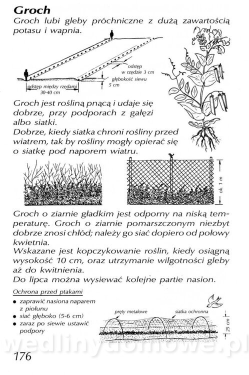 Podręcznik naturalnego ogrodnictwa_176.jpg