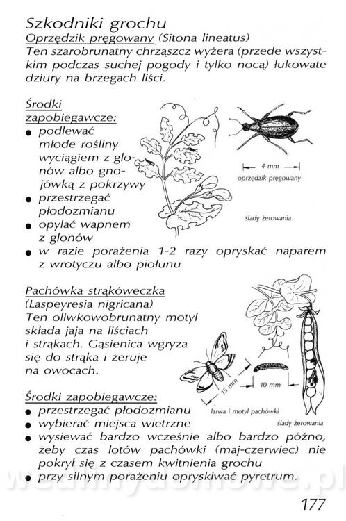 Podręcznik naturalnego ogrodnictwa_177.jpg