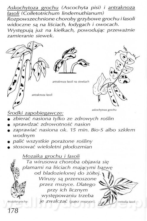 Podręcznik naturalnego ogrodnictwa_178.jpg
