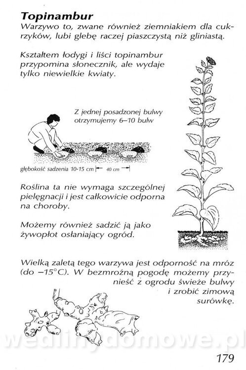 Podręcznik naturalnego ogrodnictwa_179.jpg