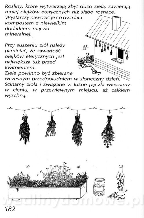 Podręcznik naturalnego ogrodnictwa_182.jpg