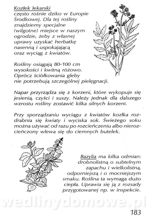 Podręcznik naturalnego ogrodnictwa_183.jpg