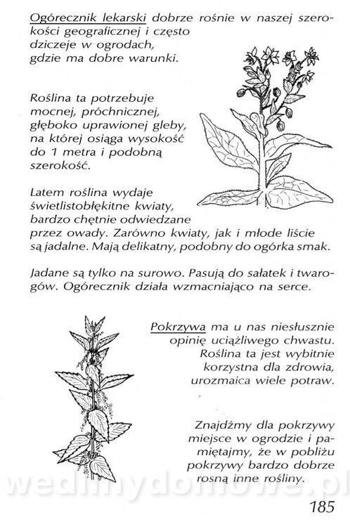 Podręcznik naturalnego ogrodnictwa_185.jpg
