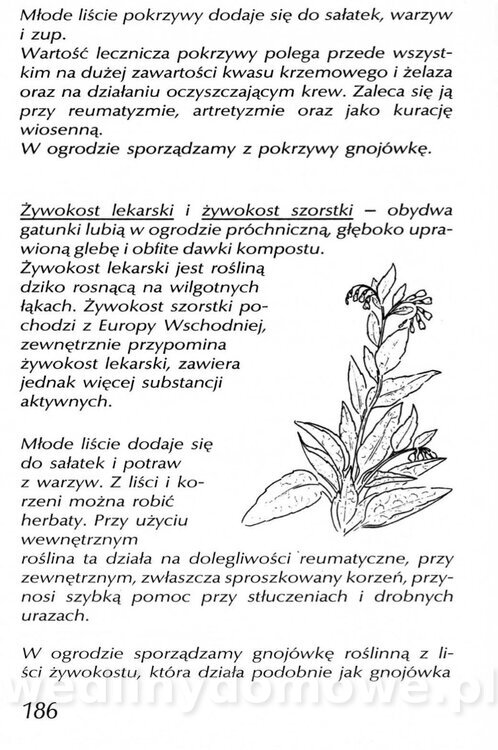 Podręcznik naturalnego ogrodnictwa_186.jpg