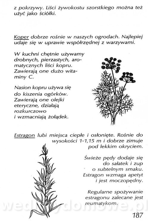 Podręcznik naturalnego ogrodnictwa_187.jpg