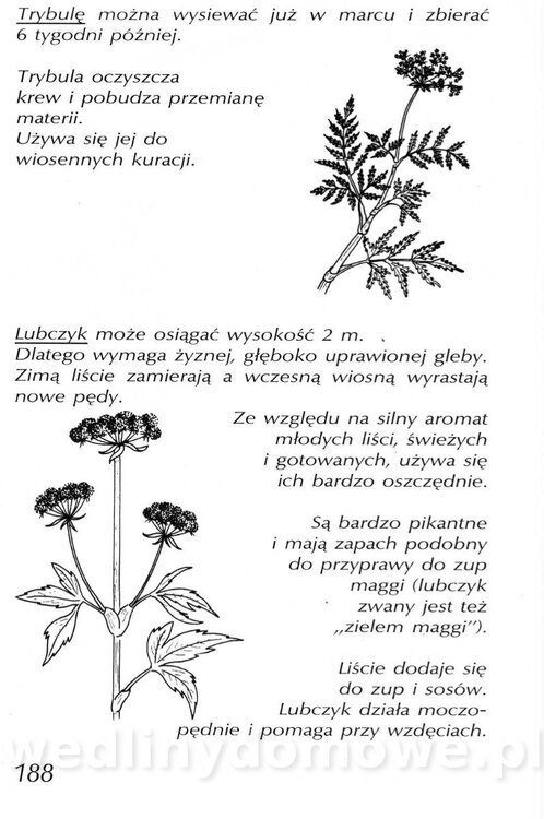 Podręcznik naturalnego ogrodnictwa_188.jpg