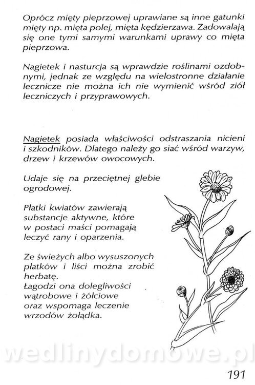 Podręcznik naturalnego ogrodnictwa_191.jpg