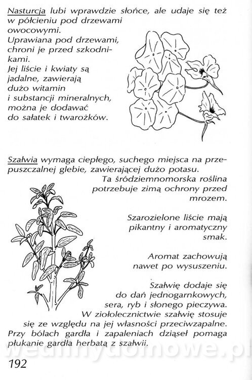 Podręcznik naturalnego ogrodnictwa_192.jpg