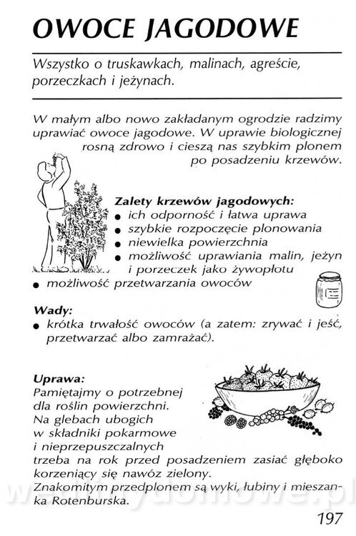 Podręcznik naturalnego ogrodnictwa_197.jpg