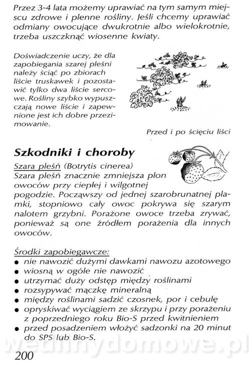 Podręcznik naturalnego ogrodnictwa_200.jpg