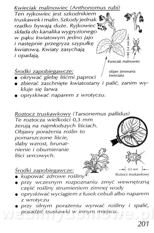 Podręcznik naturalnego ogrodnictwa_201.jpg
