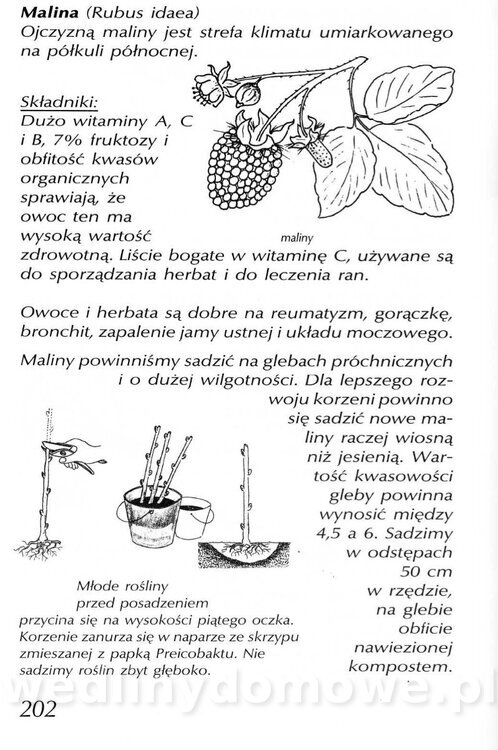 Podręcznik naturalnego ogrodnictwa_202.jpg