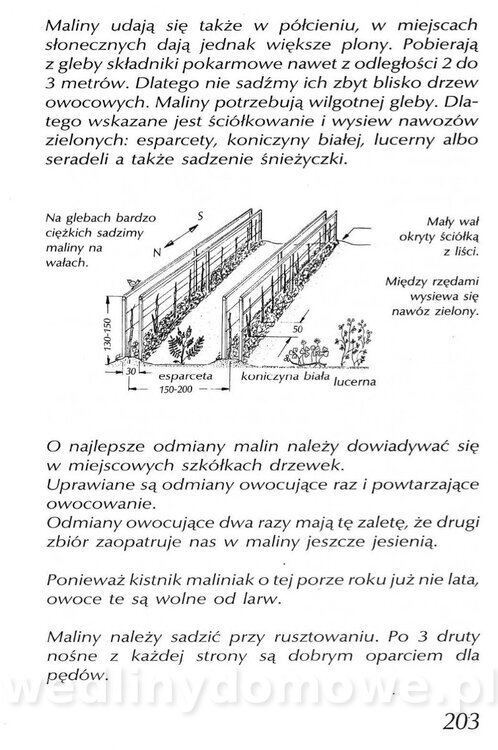 Podręcznik naturalnego ogrodnictwa_203.jpg