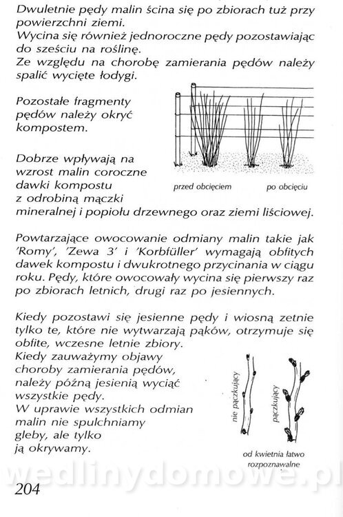 Podręcznik naturalnego ogrodnictwa_204.jpg