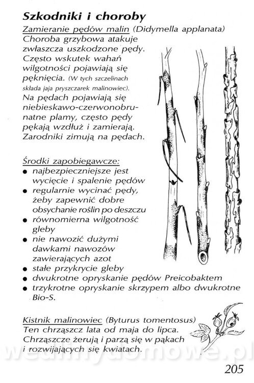 Podręcznik naturalnego ogrodnictwa_205.jpg