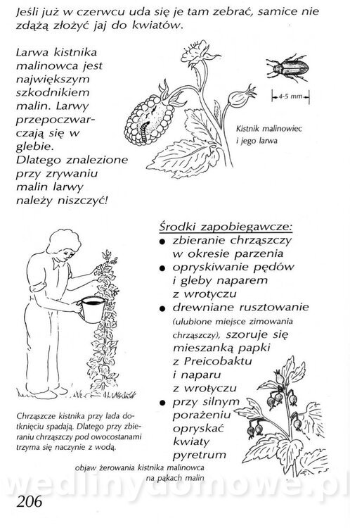 Podręcznik naturalnego ogrodnictwa_206.jpg