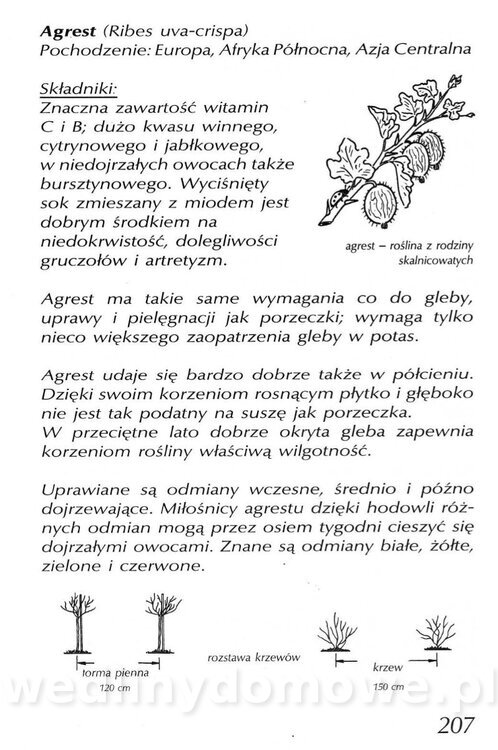 Podręcznik naturalnego ogrodnictwa_207.jpg