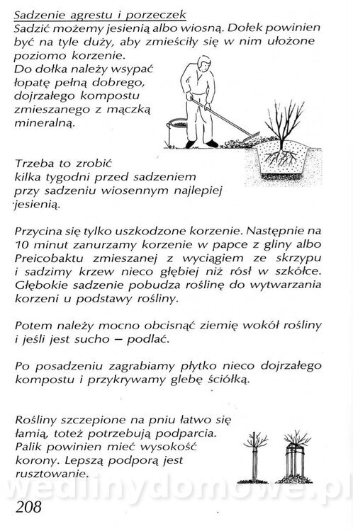 Podręcznik naturalnego ogrodnictwa_208.jpg