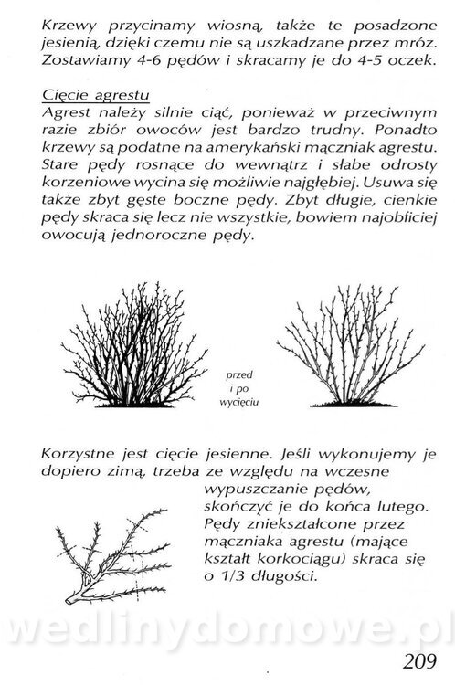 Podręcznik naturalnego ogrodnictwa_209.jpg