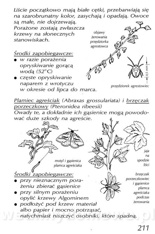 Podręcznik naturalnego ogrodnictwa_211.jpg