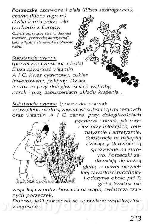 Podręcznik naturalnego ogrodnictwa_213.jpg