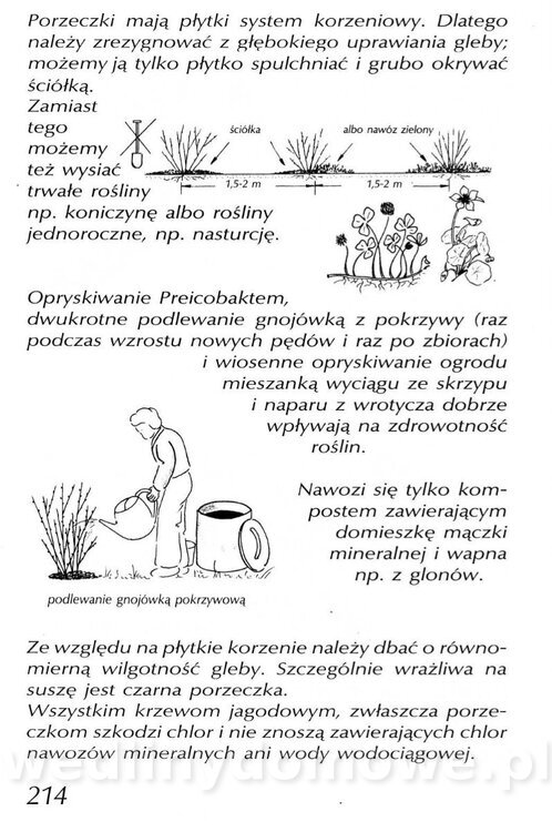 Podręcznik naturalnego ogrodnictwa_214.jpg
