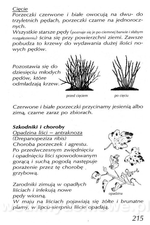 Podręcznik naturalnego ogrodnictwa_215.jpg