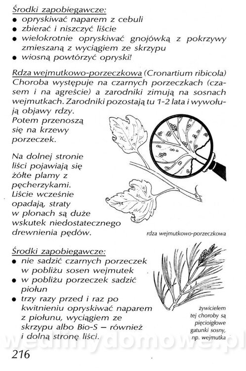 Podręcznik naturalnego ogrodnictwa_216.jpg
