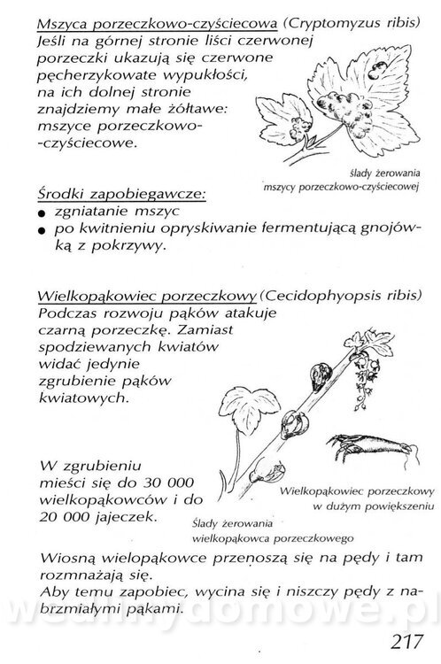 Podręcznik naturalnego ogrodnictwa_217.jpg