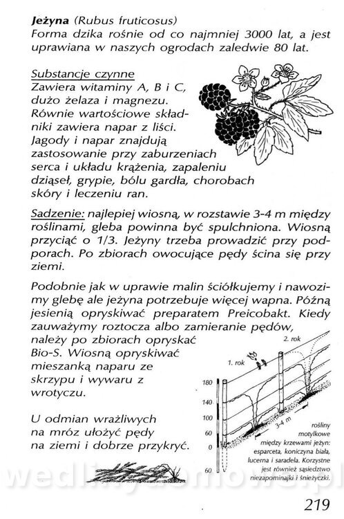 Podręcznik naturalnego ogrodnictwa_219.jpg