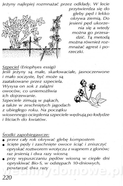 Podręcznik naturalnego ogrodnictwa_220.jpg