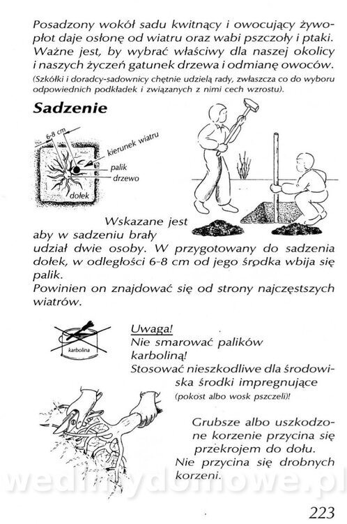 Podręcznik naturalnego ogrodnictwa_223.jpg